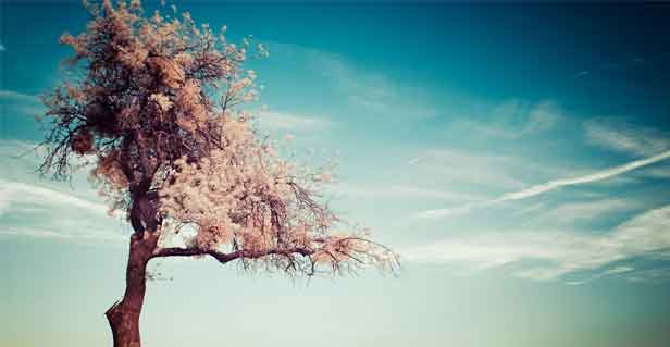 新買的保溫杯有異味？3種安全去味方法，保留內(nèi)膽光澤，讓杯子真正“干凈”地使用